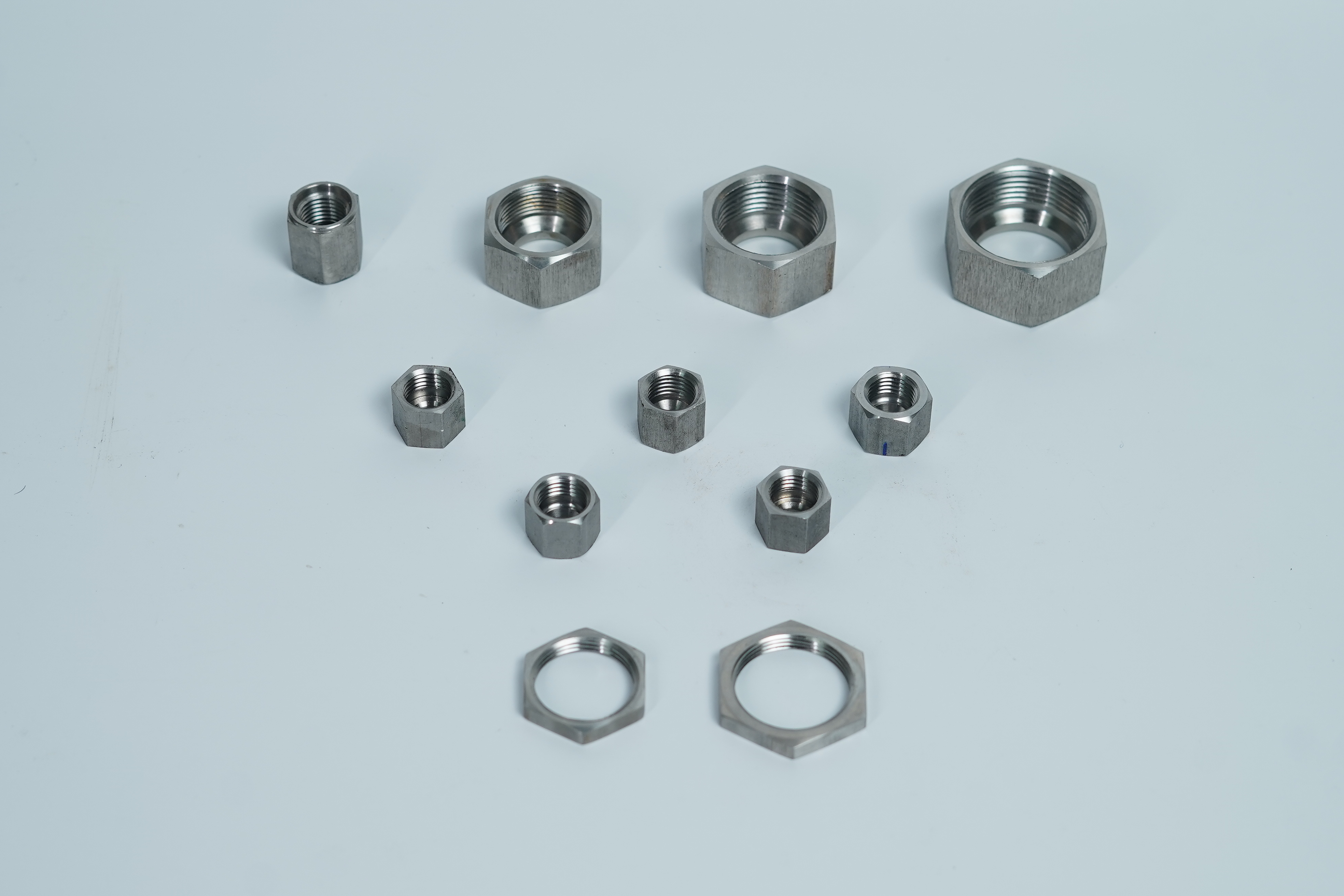 Stainless Steel Nuts
